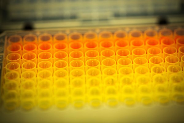 <p>Foto: Bloomberg</p>