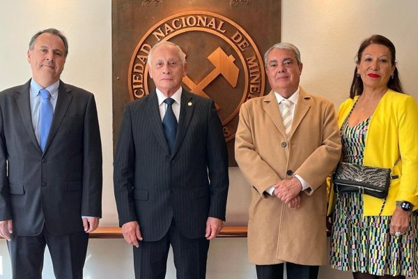 <p>Marcelo Bruit, candidato a vicepresidente; Patricio Céspedes, candidato a presidente; Patricio Gatica, candidato a vicepresidente; Patricia Beiza, candidata a directora.</p>