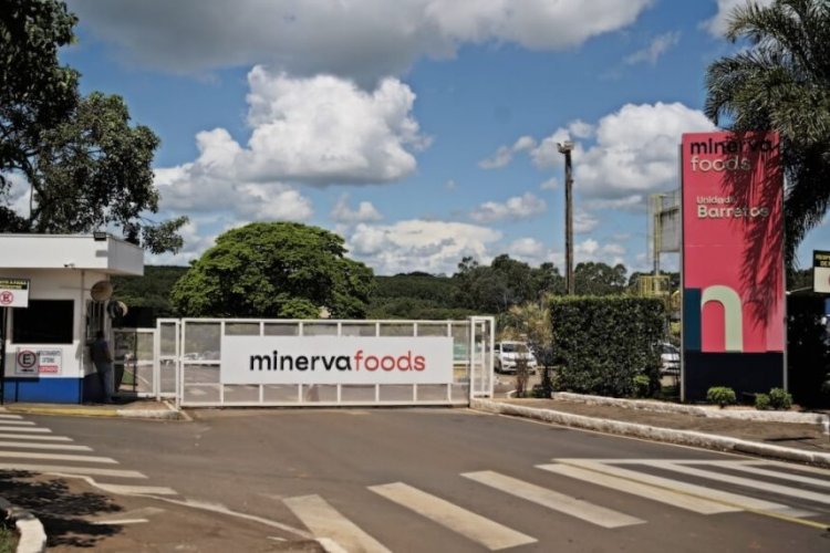 <p>Brasileña Minerva reporta ganancias por US$ 83 millones en segundo trimestre de 2025</p>