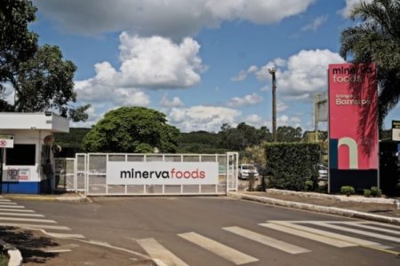Brasileña Minerva reporta ganancias por US$ 83 millones en segundo trimestre de 2025