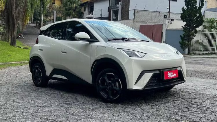 <p>China BYD vende casi el 80% de todos los autos eléctricos vendidos en Brasil</p>