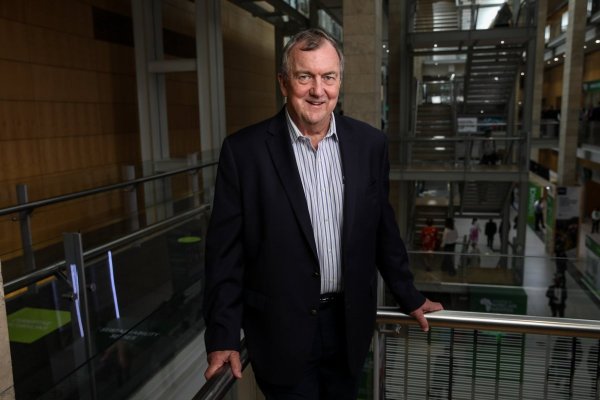 <p>Barrick cae en bolsa tras cargo extraordinario de US$ 1.000 millones por embargo estatal a su mina de oro en Mali</p>