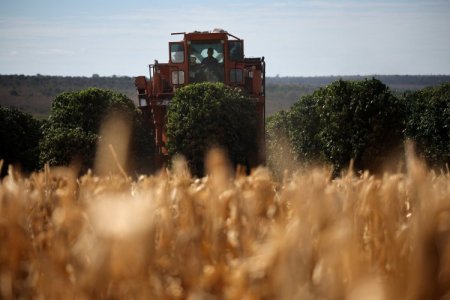 Innovación y sostenibilidad: la visión de Syngenta para el futuro de la agricultura en América del Sur