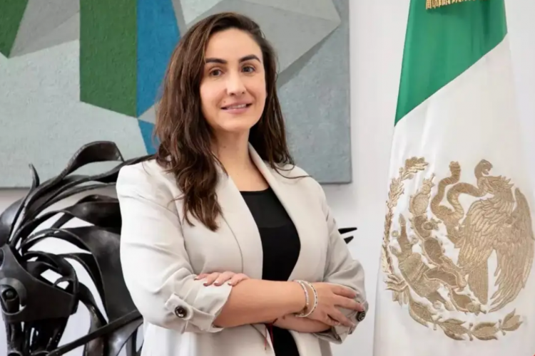 <p>María del Carmen Bonilla será la nueva subsecretaria de Hacienda de México, tras ser ratificada por el Senado</p>