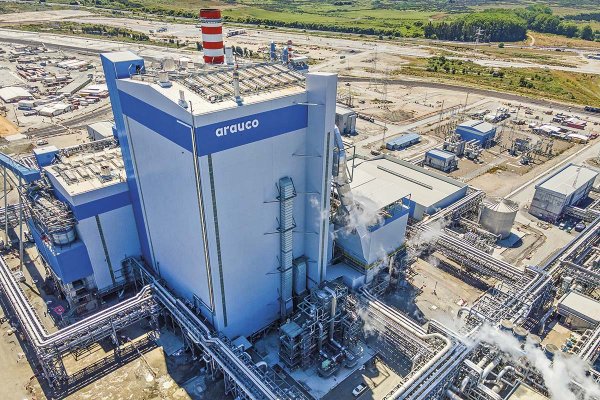 <p>Arauco registra pérdidas por US$ 10 millones en el primer semestre y apunta a incertidumbre económica por aranceles de EEUU</p>