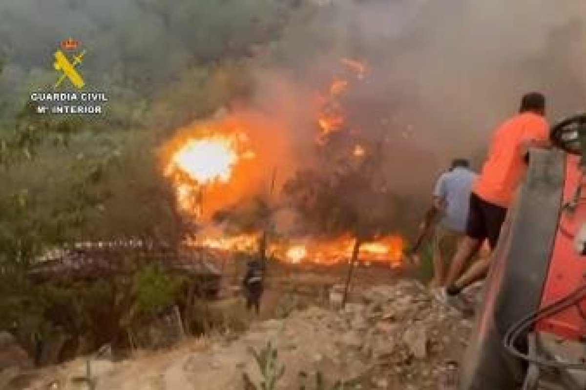 <p>Ahora en DF | Una ola de incendios se mantiene activa en España: se registran tres fallecidos y 115.000 hectáreas afectadas</p>
