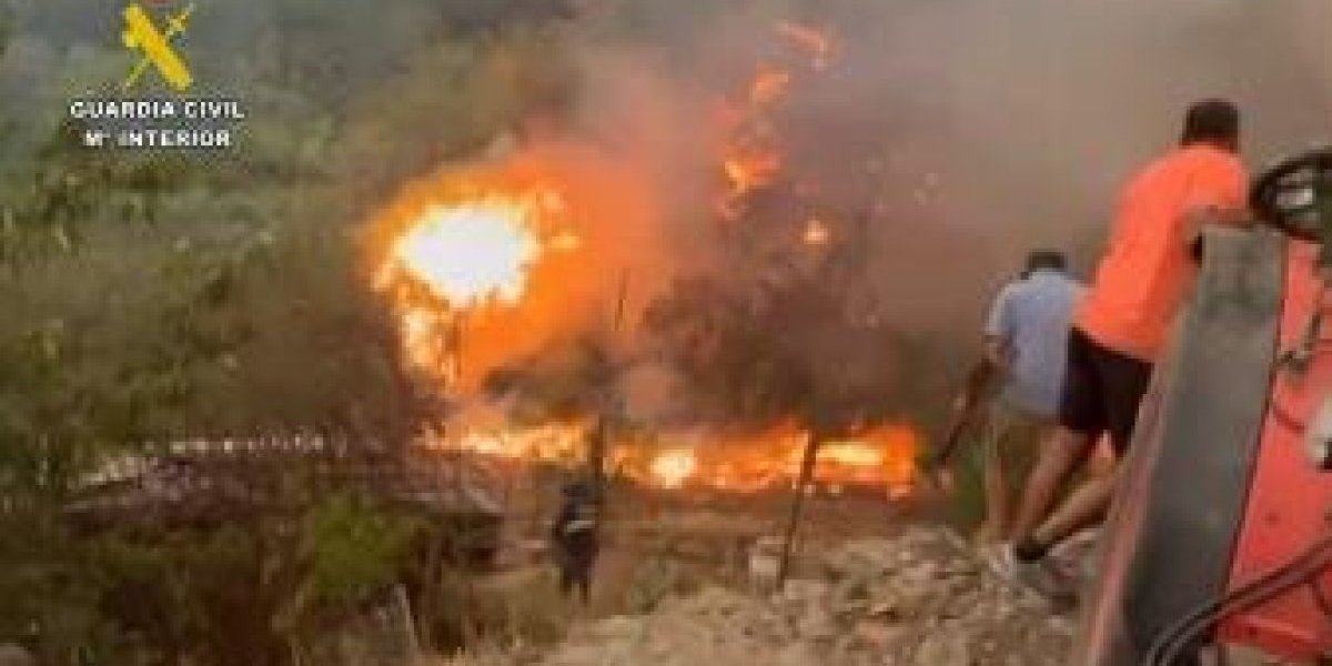 <p>Ahora en DF | Una ola de incendios se mantiene activa en España: se registran tres fallecidos y 115.000 hectáreas afectadas</p>