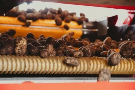 <p>Gigante de EEUU exportará papas de Mar del Plata directo a Brasil y apunta a McDonald's</p>