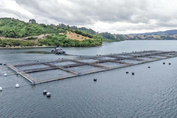 Uno de los centros de cultivo de AquaChile. Foto: AquaChile.