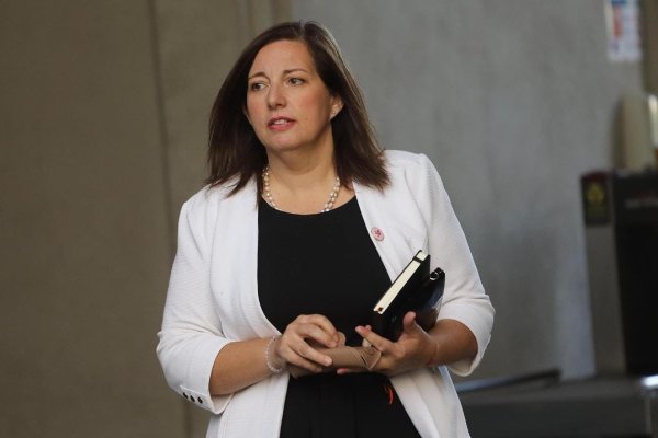 <p>Presidenta del PS Paulina Vodanovic: el programa “nos representa a todos los que conformamos esta coalición en forma bastante importante”</p>