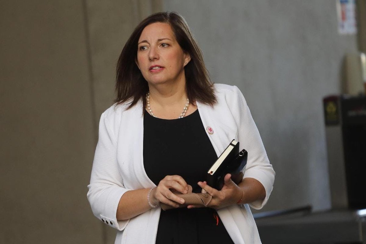 <p>Presidenta del PS Paulina Vodanovic: el programa “nos representa a todos los que conformamos esta coalición en forma bastante importante”</p>