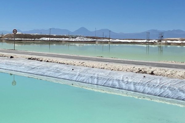 <p>Ganancias de SQM se desploman 59% en el segundo trimestre por el litio: precios tuvieron fuerte caída en mayo y junio</p>