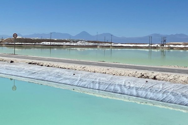 <p>Ganancias de SQM se desploman 59% en el segundo trimestre por el litio: precios tuvieron fuerte caída en mayo y junio</p>