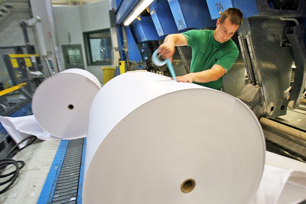 <p>Celulosa: bajos precios impactan resultados del sector y ponen presión a megaproyectos</p>