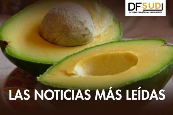 <p>DF SUD | Palta peruana bajo la lupa en Europa por altos niveles de cadmio</p>