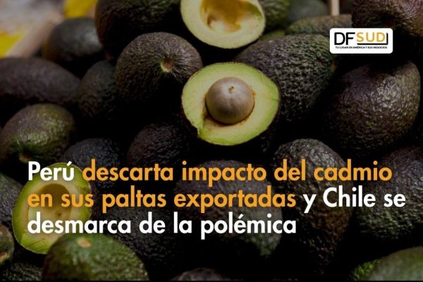 <p>Te lo explico en DF SUD | Perú descarta impacto del cadmio en sus paltas exportadas y Chile se desmarca de la polémica</p>