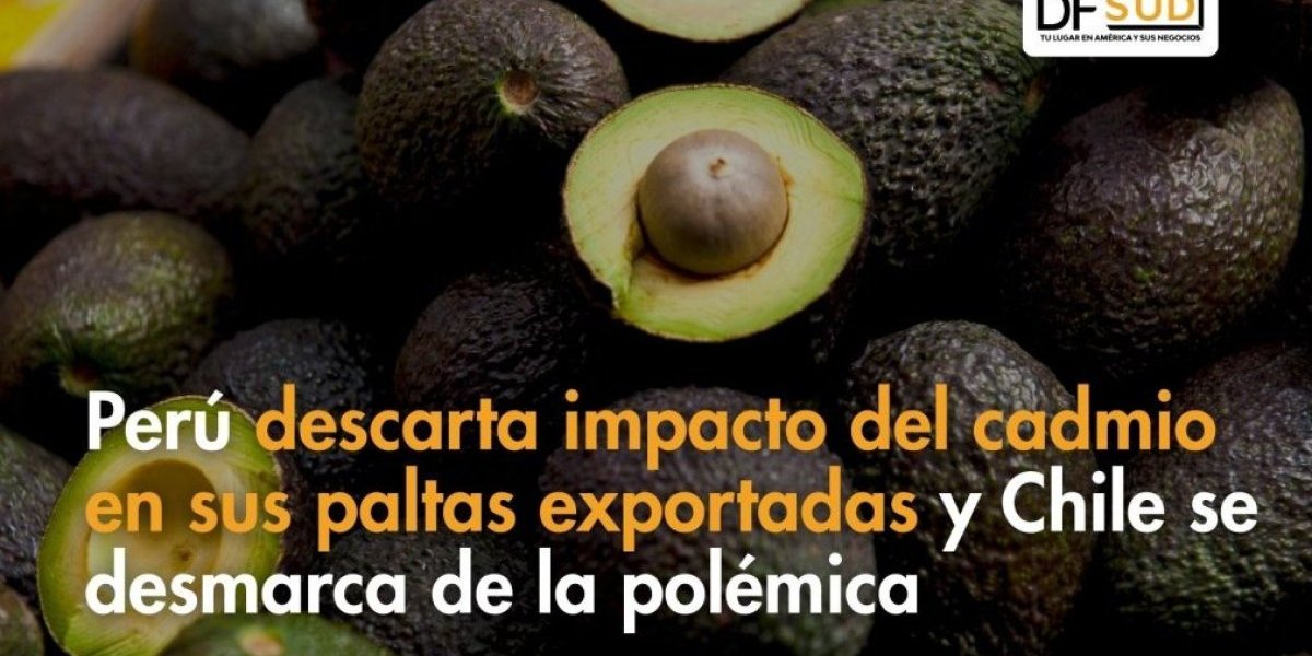 <p>Te lo explico en DF SUD | Perú descarta impacto del cadmio en sus paltas exportadas y Chile se desmarca de la polémica</p>