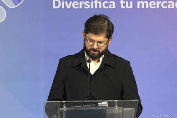 <p>Ahora en DF | Boric critica a Trump y acusa a EEUU de actuar con "arbitrariedad" con su política arancelaria</p>