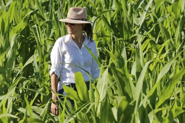 <p>Victoria Coll, la científica salteña que dejó el Conicet para crear su propia empresa agrotech en Argentina: ya consiguió US$ 1,2 millones en inversiones</p>