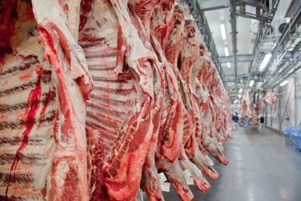 Dos gigantes en disputa: Minerva y Marfrig se enfrentan por acuerdo de compra de tres frigoríficos en Uruguay