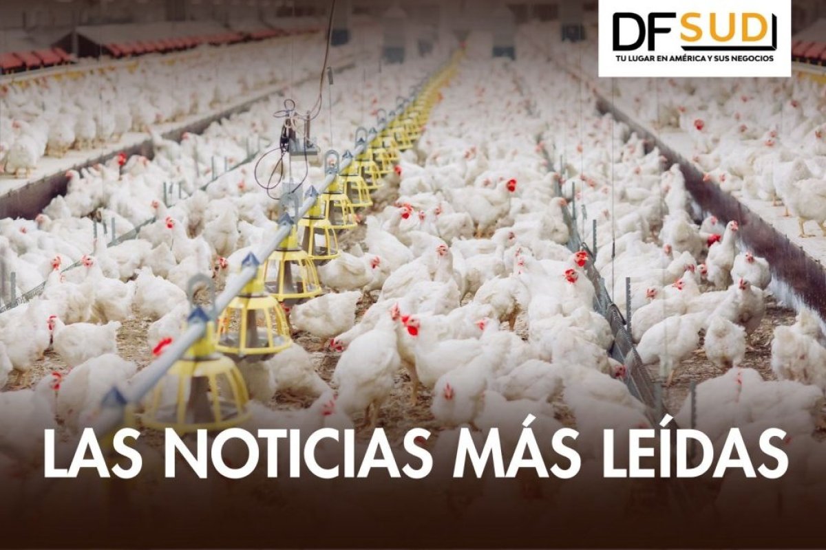 <p>DF SUD | Chile suspende importaciones avícolas desde Argentina por brote de influenza aviar</p>