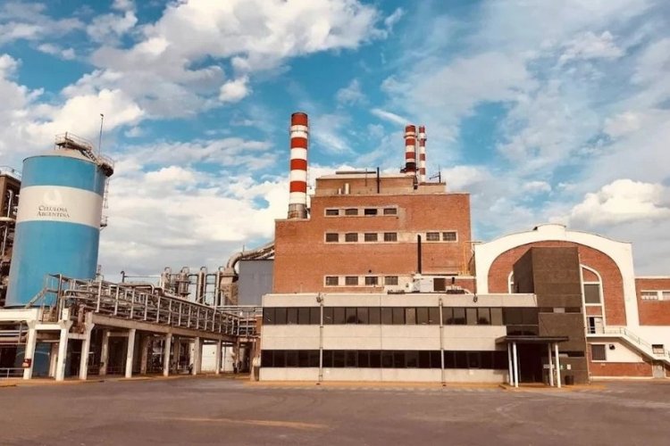 <p>Por "profundos cambios" implementados por el Gobierno de Milei, Celulosa Argentina presenta concurso preventivo tras default</p>