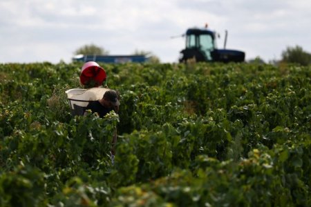 <p>Editorial FT: Un sólido argumento a favor del acuerdo comercial entre UE y Mercosur</p>