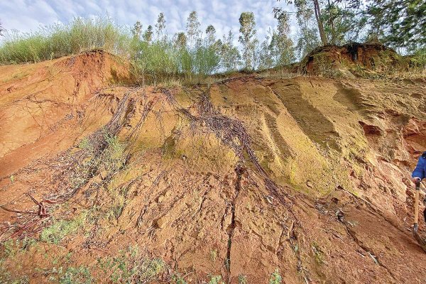 <p>Tierras raras: Aclara se dispara 17% tras espaldarazo de EEUU en Brasil, mientras en Chile ultima su segunda adenda</p>