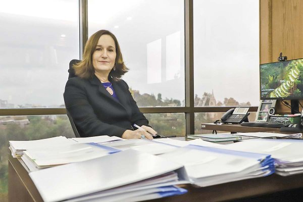 <p>Valentina Durán, directora ejecutiva del SEA. Foto: Julio Castro</p>