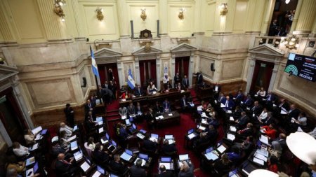 <p>Senado de Argentina rechaza veto presidencial a ley de emergencia en discapacidad</p>
