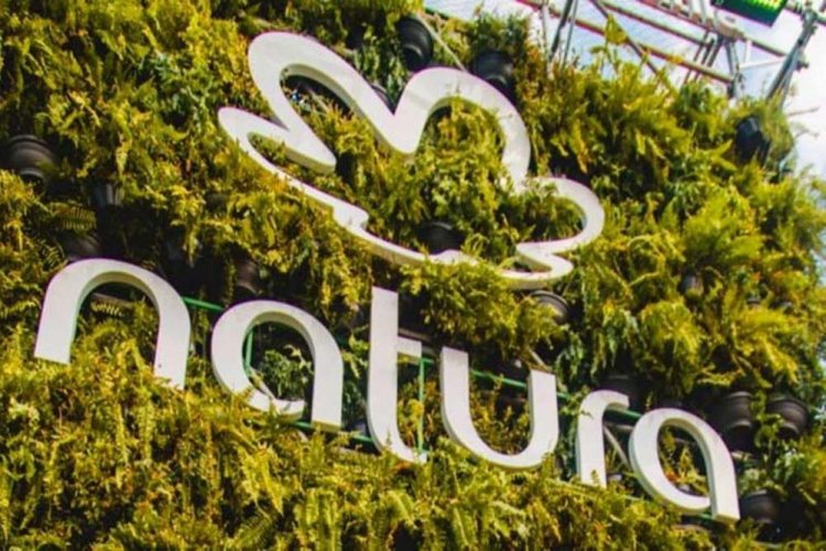 <p>Natura investiga cultivos de la Amazonía peruana para desarrollar un nuevo producto</p>