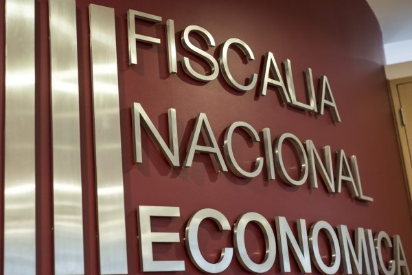 <p>Fusión Anglo-Teck debe pasar por FNE de Chile, además de reguladores de Canadá, EEUU y China</p>
