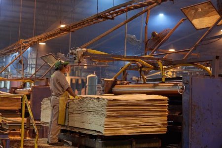 <p>Banquero pro Milei apunta contra los dueños de Celulosa Argentina por "sospechosa" venta de acciones</p>