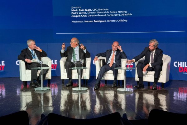 <p>Compañías defienden el rol y ventajas del gas en la transición energética y alertan sobre la seguridad de las renovables</p>