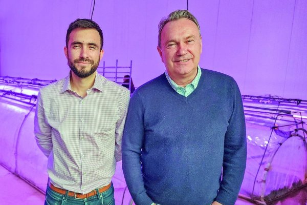 <p>De Hijuelas a EEUU: el vivero chileno que aterriza en el Silicon Valley de la biotecnología</p>
