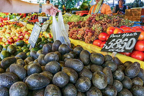 <p>Valor de la Canasta Básica de Alimentos registra leve aumento en agosto, pero se acerca nuevamente a los $ 70 mil</p>