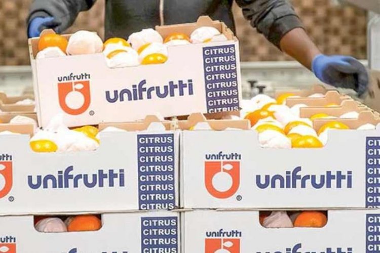 <p>Chilena Verfrut prepara ampliaciones en planta de Piura por más de US$ 7 millones</p>