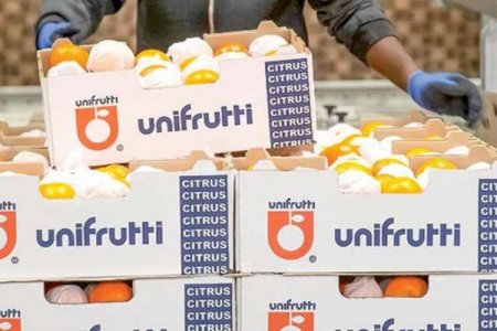 Chilena Verfrut prepara ampliaciones en planta de Piura por más de US$ 7 millones