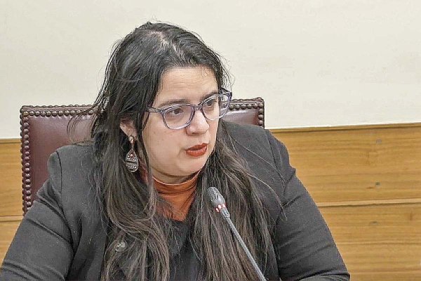 <p>La directora de Presupuestos, Javiera Martínez.</p>