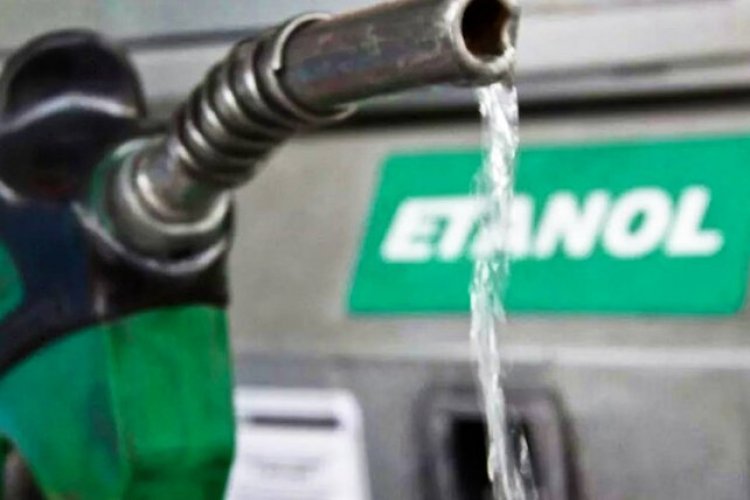 <p>Polos opuestos: Brasil acelera con biocombustibles mientras Argentina se estanca</p>