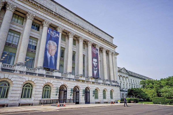 El mensaje del USDA: “Chile ha impulsado su éxito agrícola mediante el uso de genética desarrollada en Estados Unidos”
