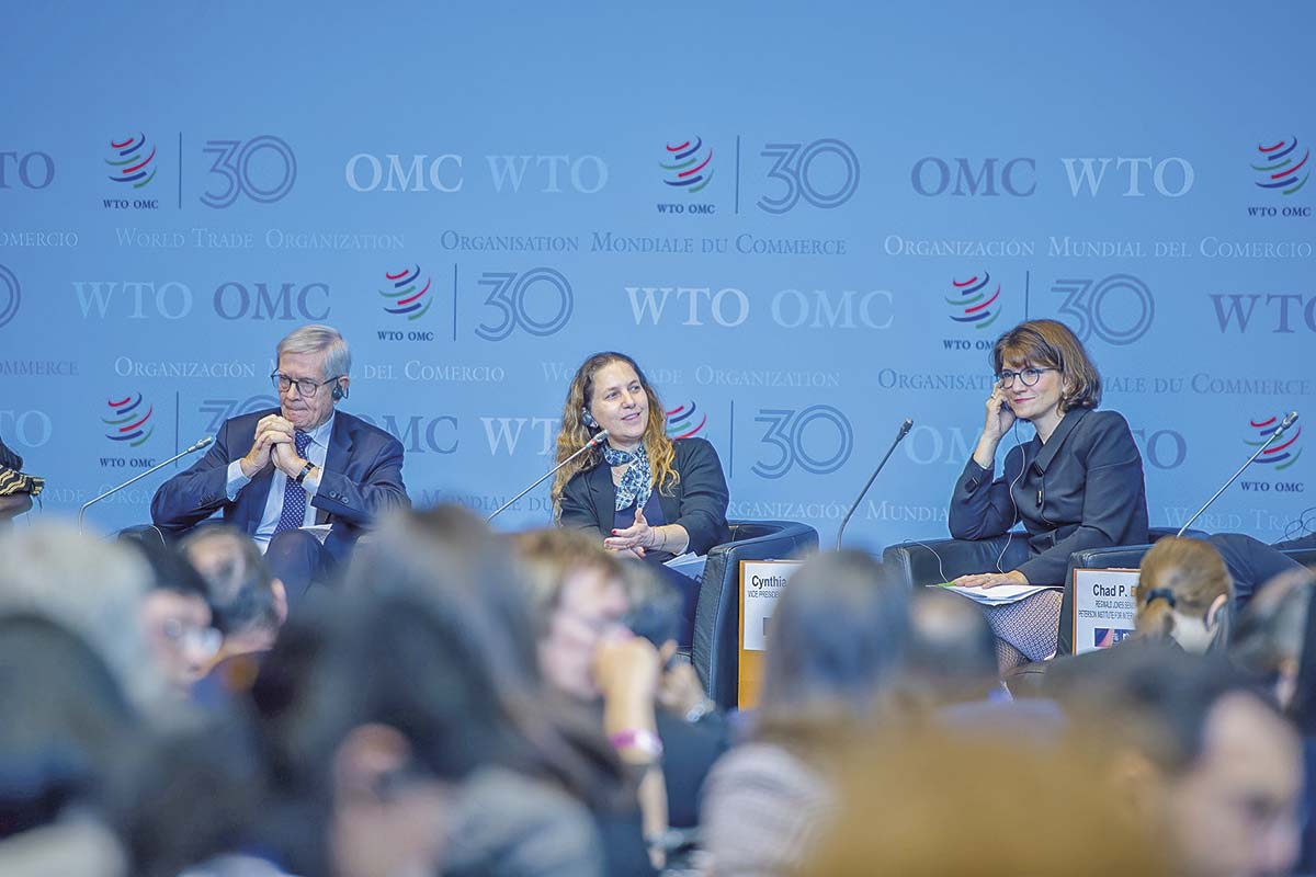 <p>La presidenta de la Sofofa, Rosario Navarro, en un panel en el marco de la OMC.</p>