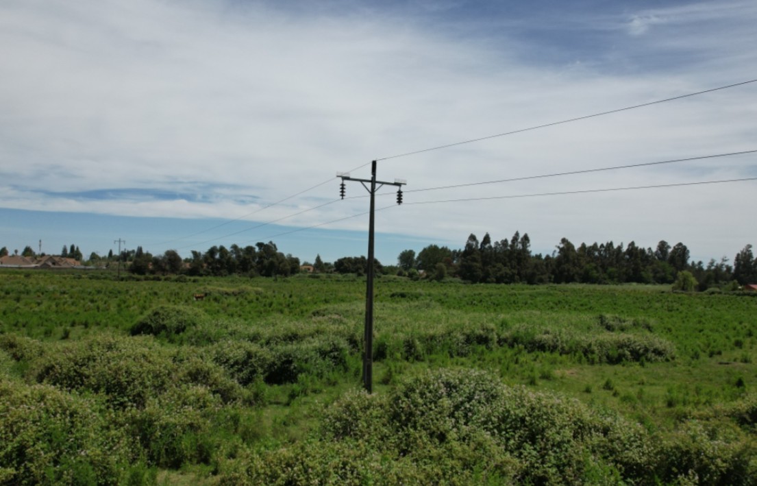 <p>CGE iniciará el próximo mes la construcción de líneas eléctricas en Ñuble por más US$ 65 millones tras una larga espera</p>
