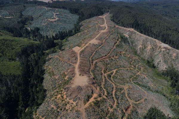 <p>Aclara Resources planea invertir US$ 1.300 millones en tierras raras en Chile, Brasil y EEUU</p>