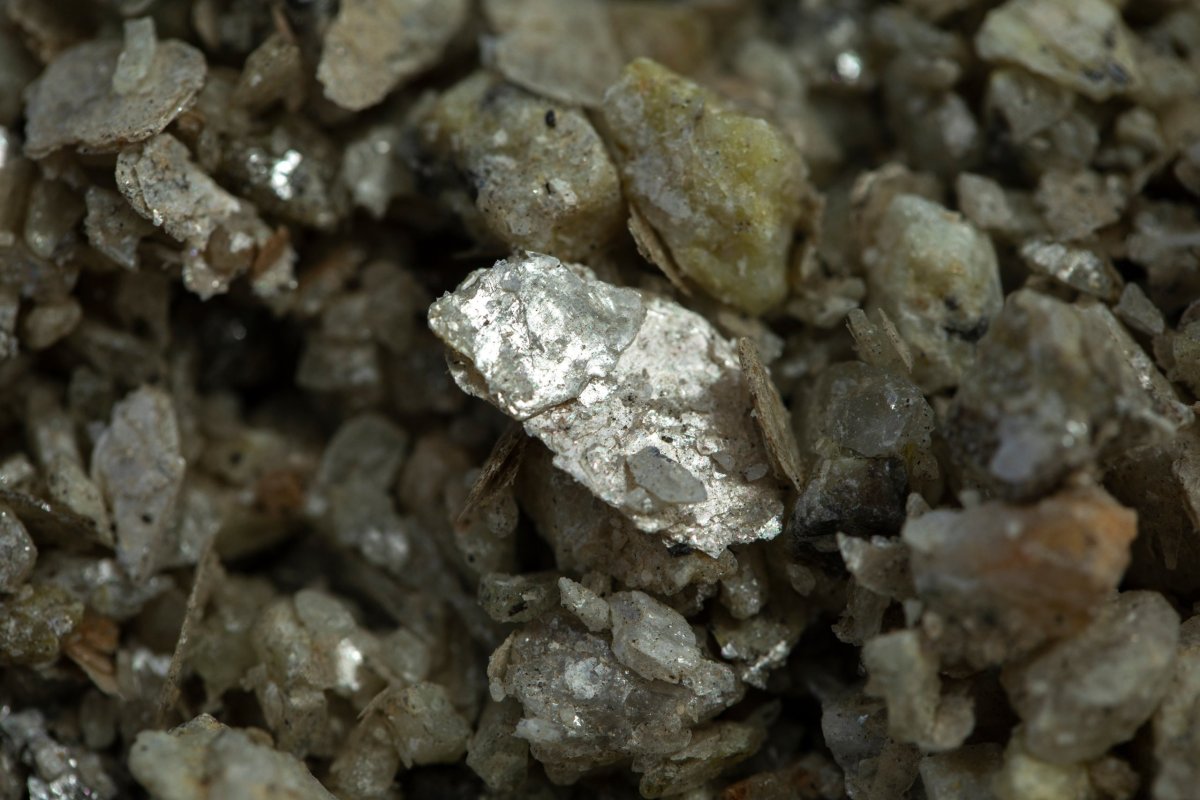 <p>Acción de Lithium Americas salta casi 90% tras reportes de que gobierno de Trump comprará una participación en la productora de litio</p>