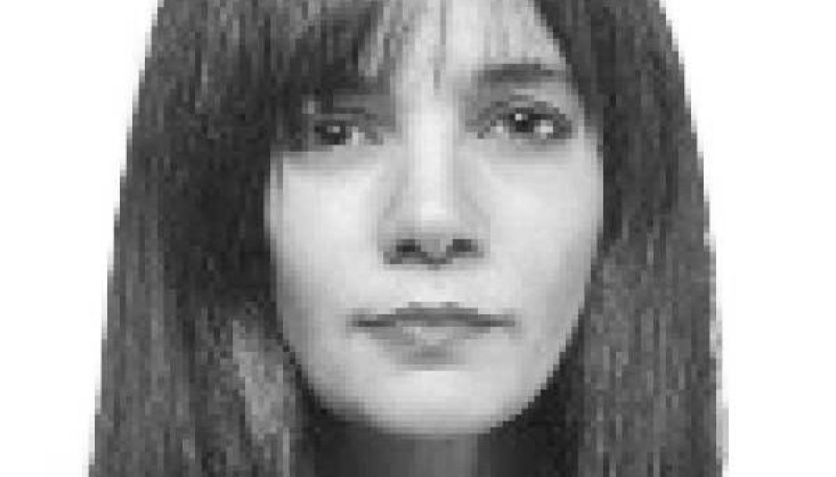 Pensiones: modernas en la forma, analógicas en el fondo