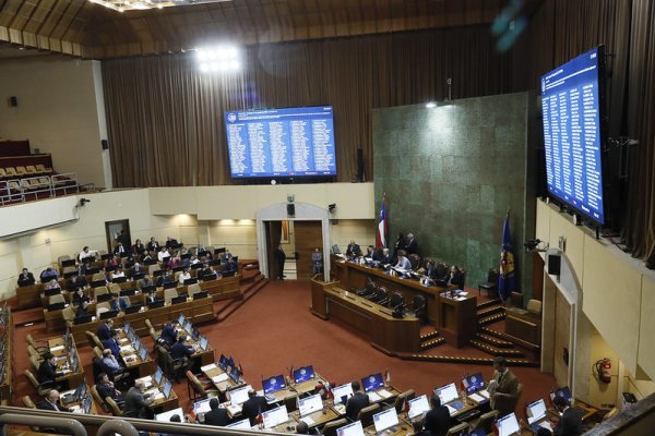 <p>Definitivo: Congreso aprobó multa por no votar para chilenos que regirá en noviembre para elecciones presidenciales y parlamentarias</p>