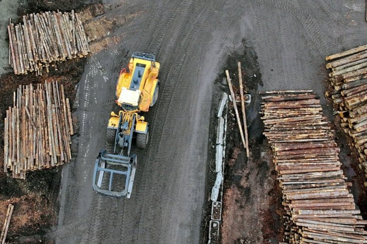 <p>Trump impone aranceles a la madera para fortalecer la industria local</p>