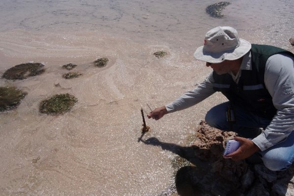 <p>SMA multa a Albemarle con más de US$ 4 millones por infracciones en extracción de salmuera e incumplimientos en plan de alerta temprana</p>