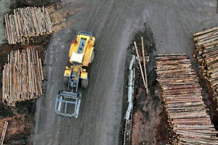 <p>Trump impone aranceles a la madera para fortalecer la industria local</p>